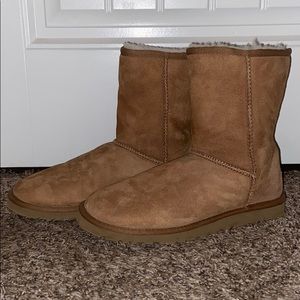 Classic Short UGG Boot | Chestnut